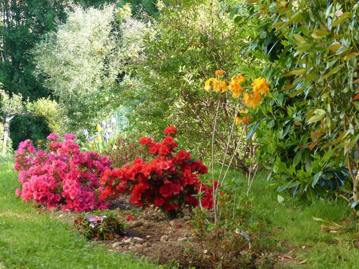 Les Enselmes Bed & Breakfast Montagnieu  Luaran gambar
